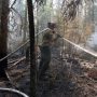 High Level Wildfires